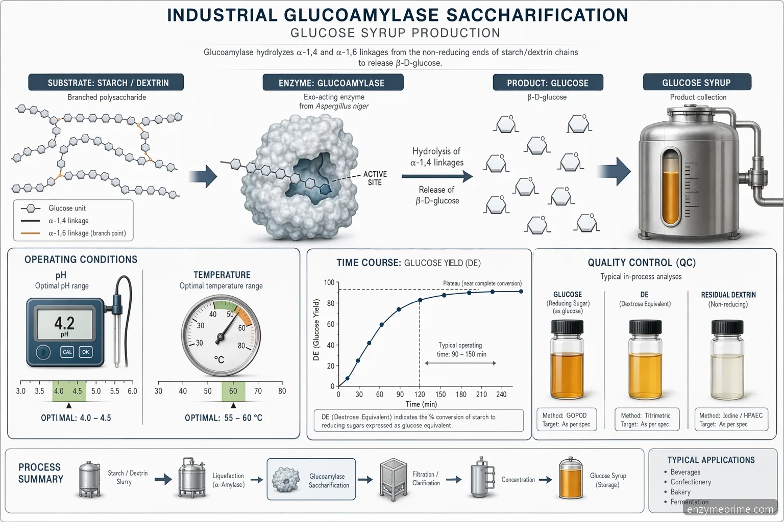 glucoamylase 적용 당화 다이어그램으로, 전분 사슬이 glucose로 바뀌는 흐름과 pH, 온도, DE 제어를 표시함