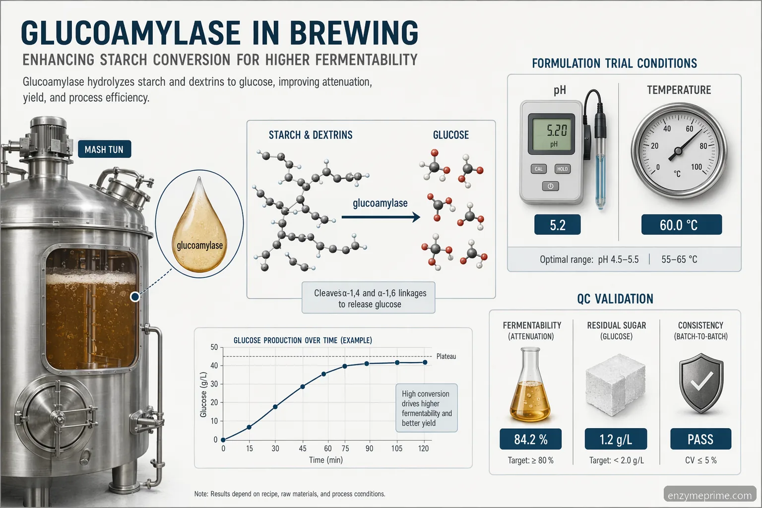 Guide til brygformulering med glucoamylase-enzym, der viser stivelse-til-glucose-omdannelse, doseringspunkter og QC-tjek