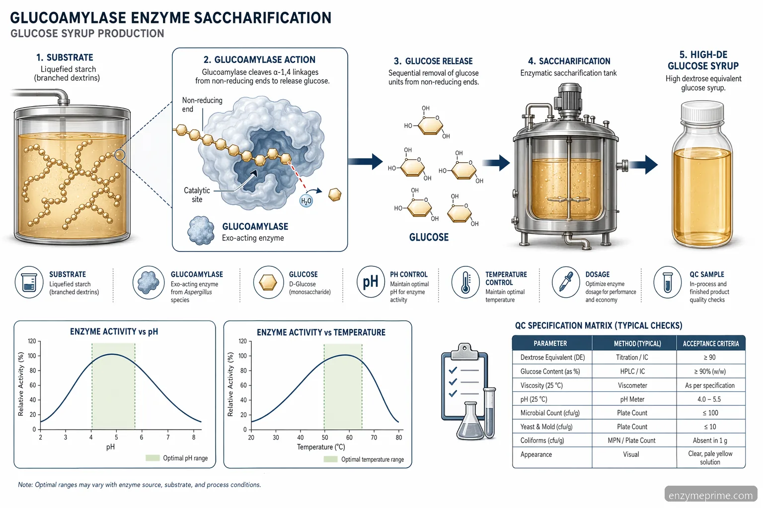 glucoamylase enzyme saccharification diagram with starch-to-glucose flow, pH and temperature control curves